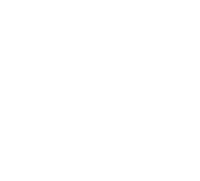 Delta FC